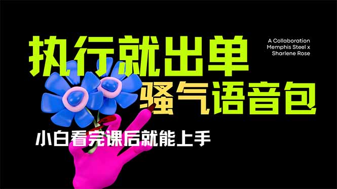 （14170期）爆火全网的开车导航骚气语音包,只要执行就出单，小白看完课程就能实操...-沐远轻创｜靠谱轻创业副业项目与低成本变现教程